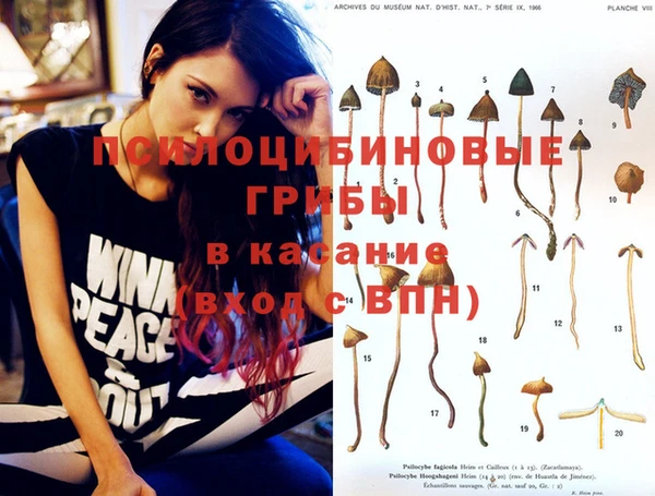 PSILOCYBIN Баксан